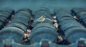 鋪掛小青瓦操作流程